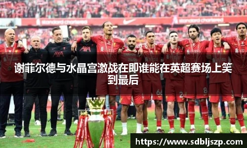 谢菲尔德与水晶宫激战在即谁能在英超赛场上笑到最后